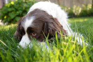 12909551_1321748151173659_7625062579494507700_o